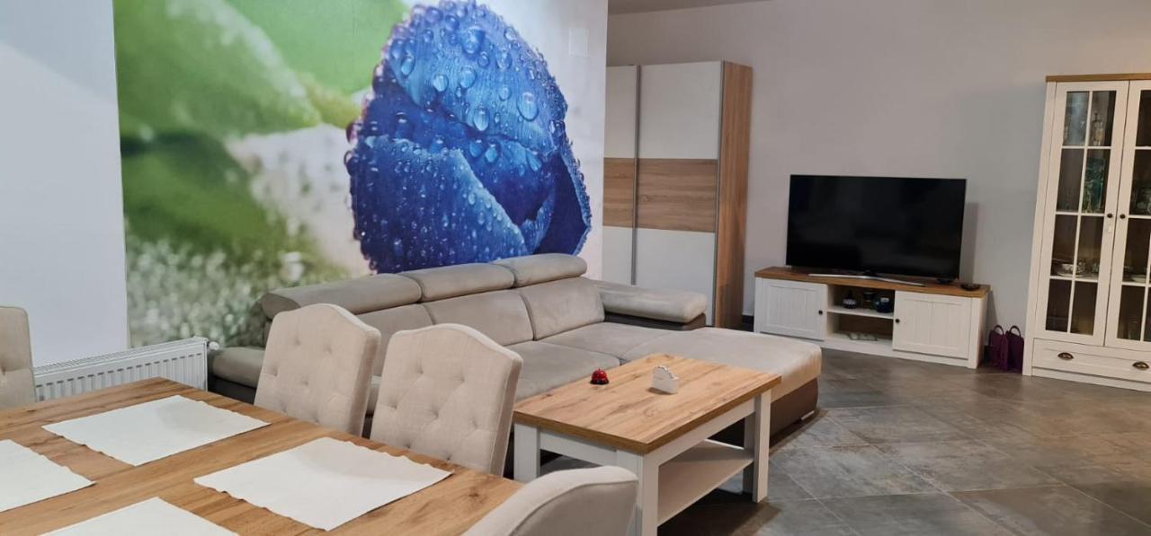 Apartament Fiore Blu Năvodari Εξωτερικό φωτογραφία